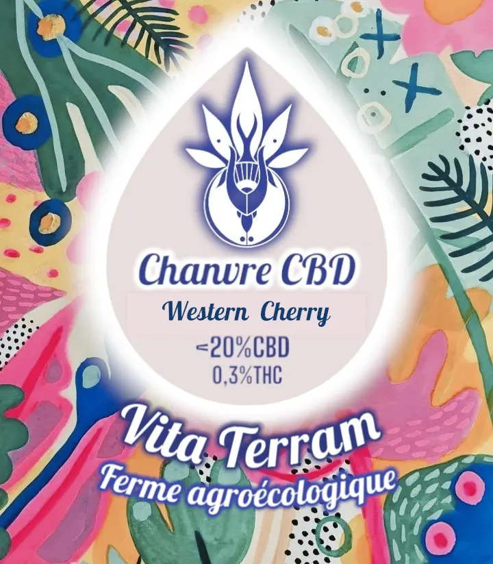 Western Cherry-Photoroom (1).webp