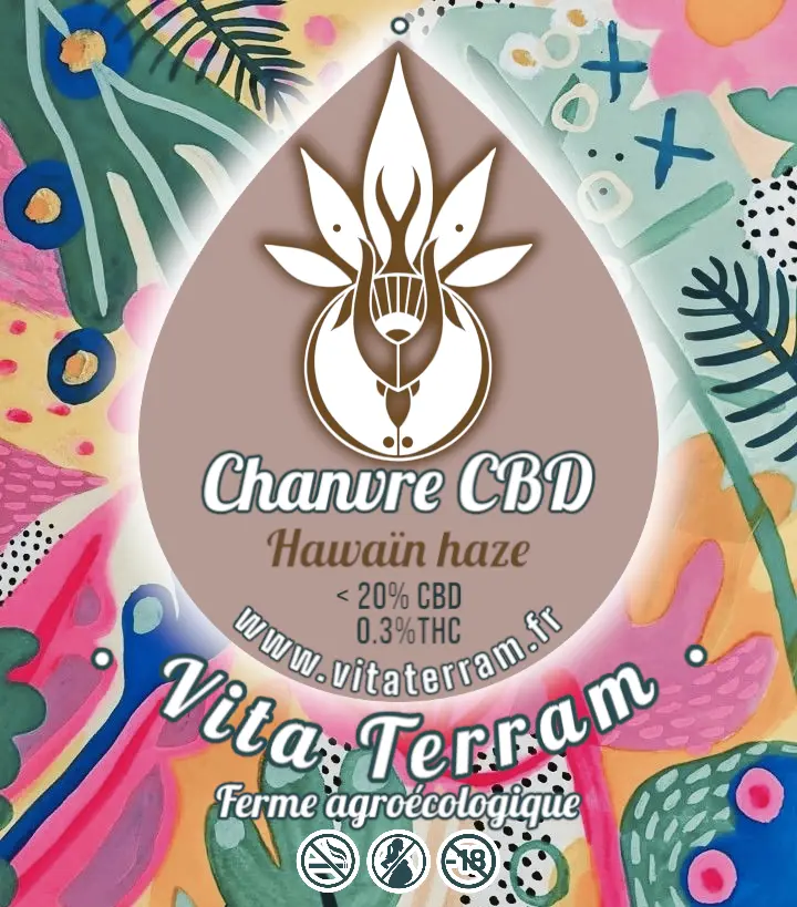 HAWAIIN HAZE.webp