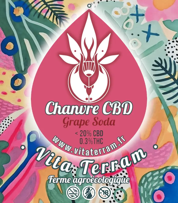 GRAPE SODA.webp