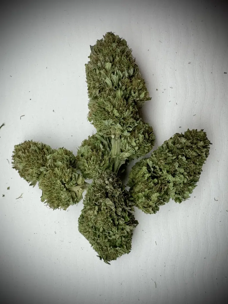 western cherry .webp