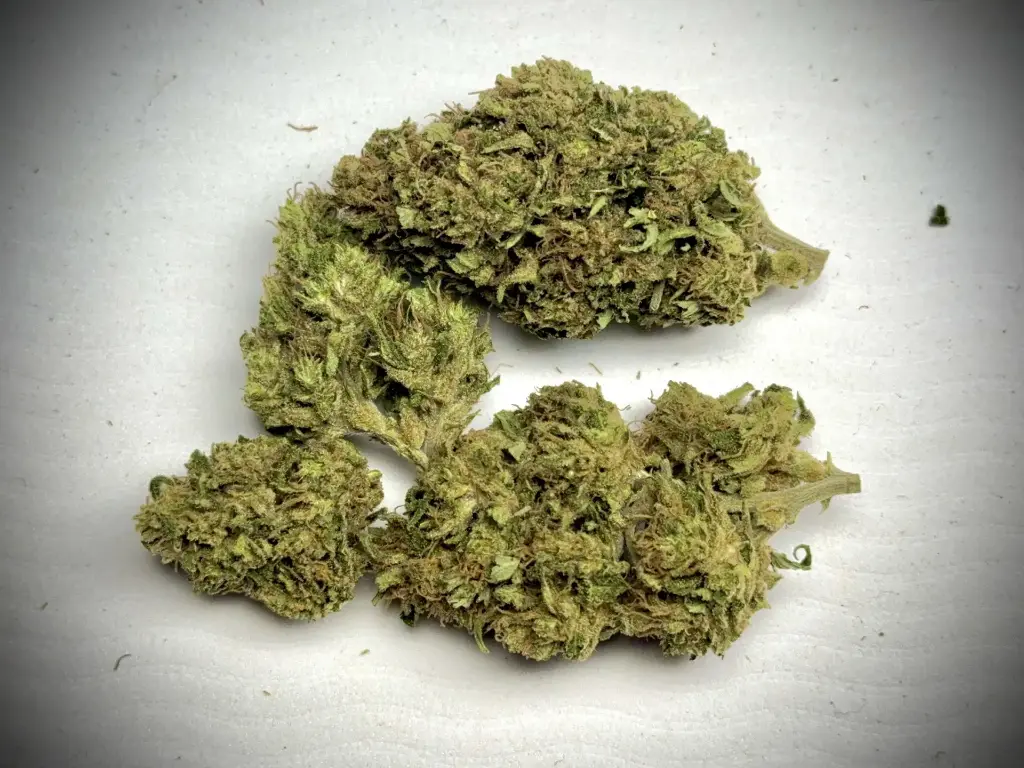ACDiesel.webp