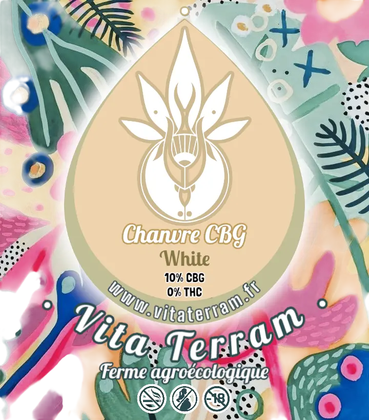 CBG-Photoroom (1).webp